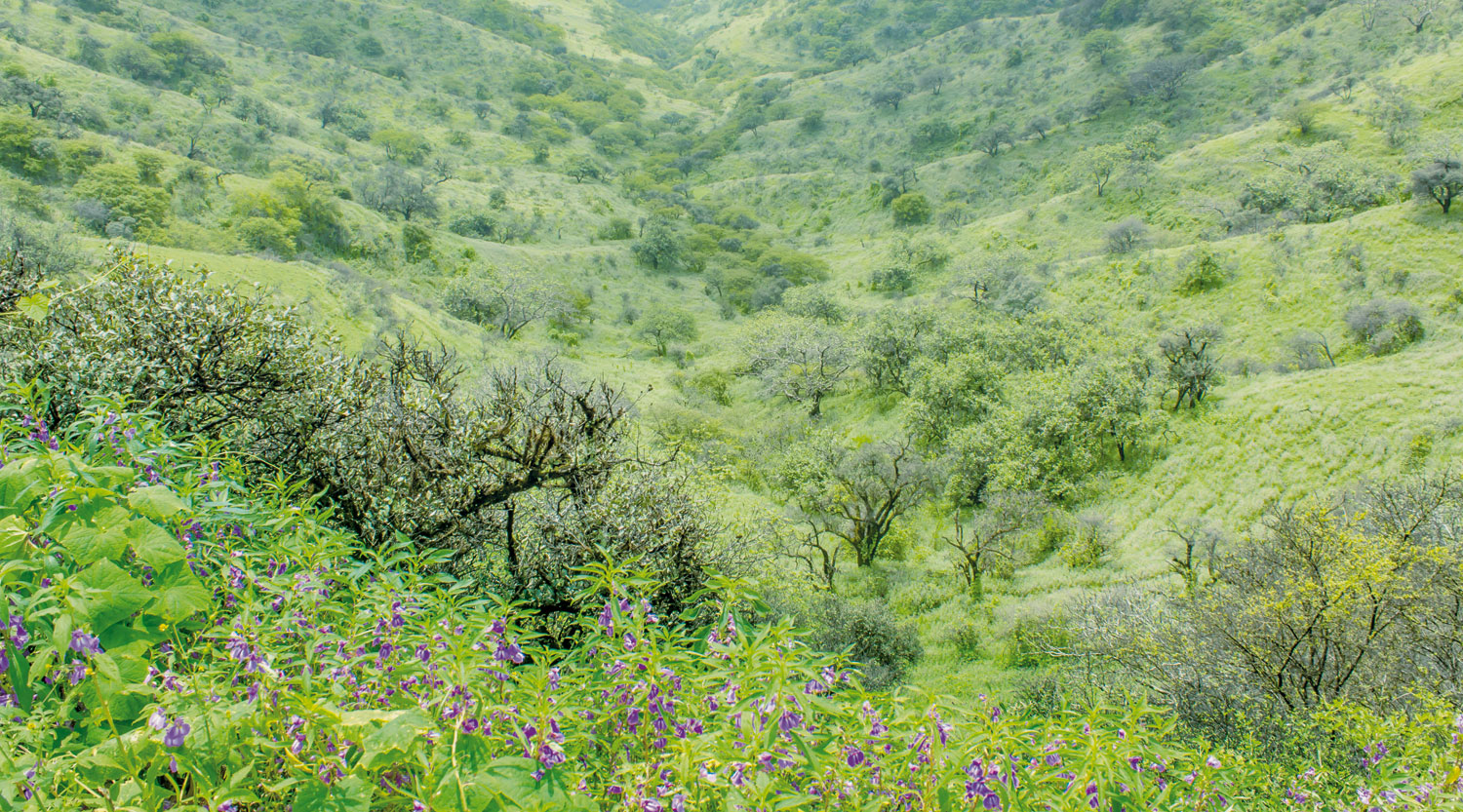 shutterstock_495971350