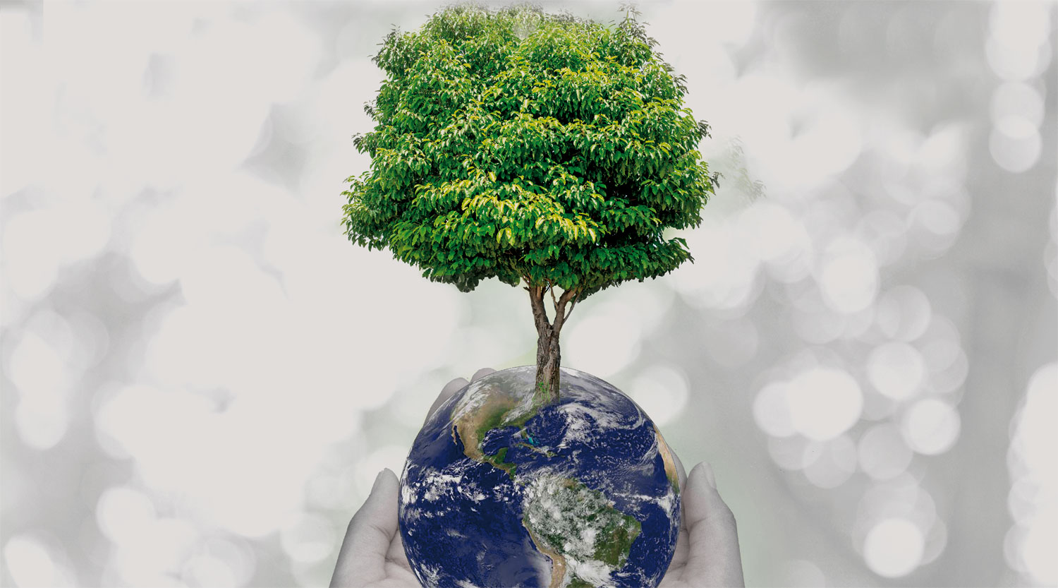 shutterstock_670429078