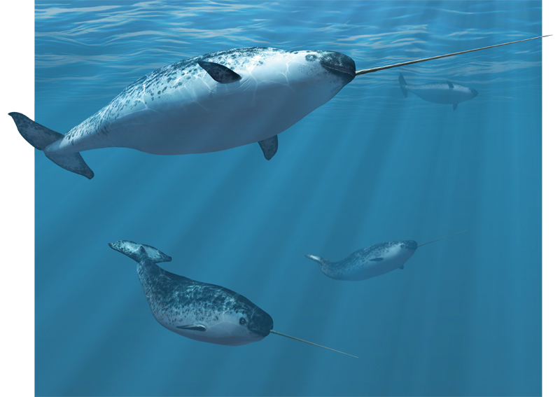 shutterstock_287061437