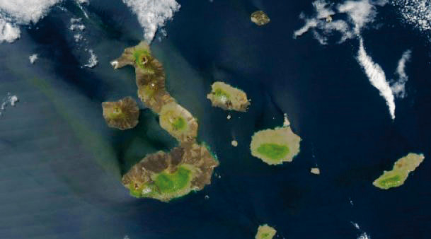 24942fe613d1f4469cd3d5496a39116f61ff9c0c