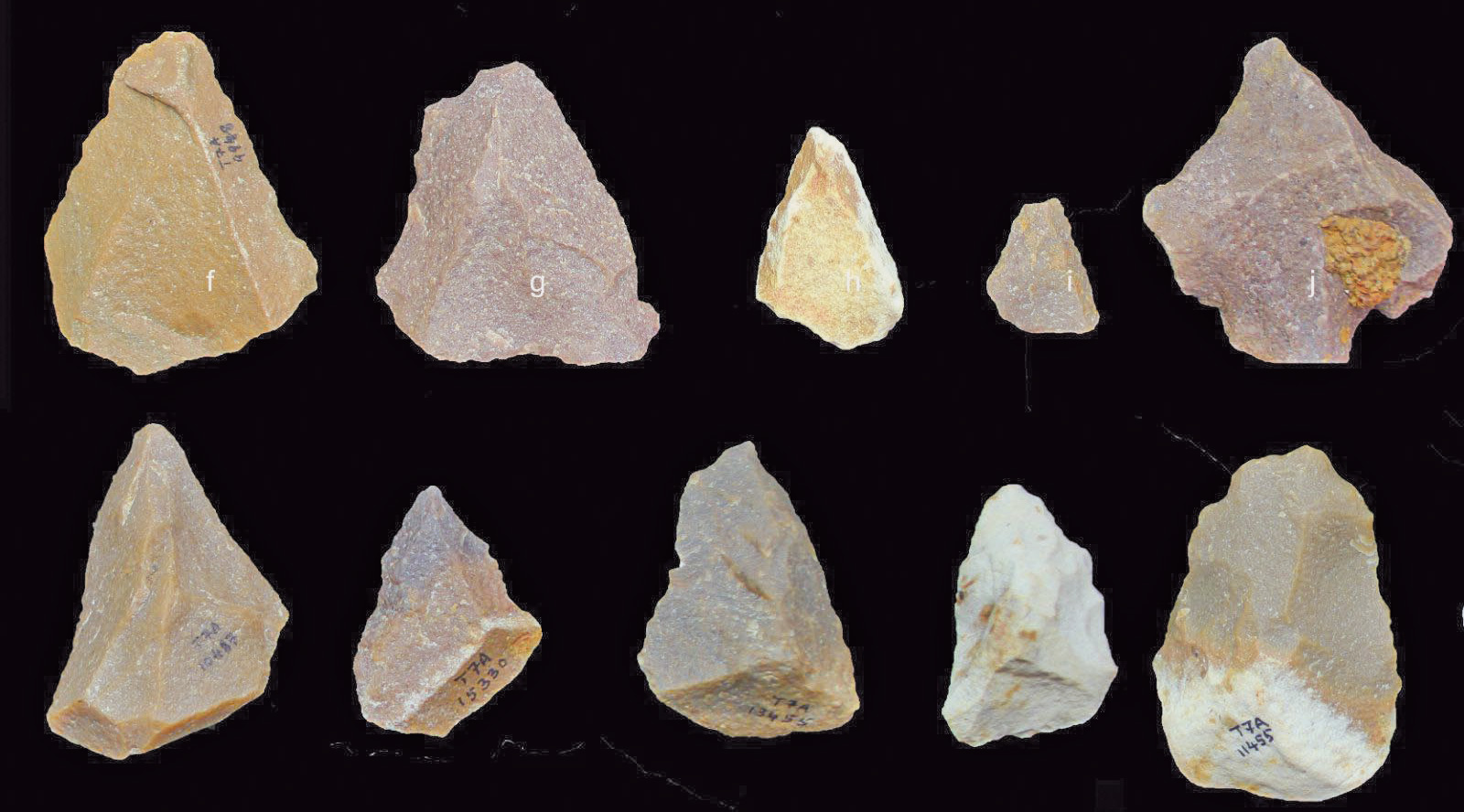 file-20180131-131727-fego7h