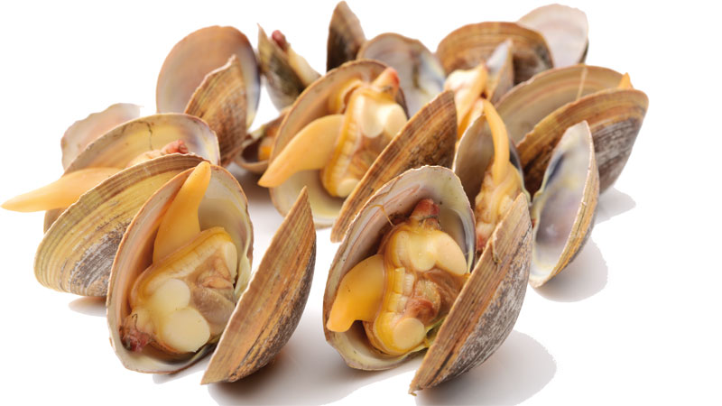 shutterstock_535569025