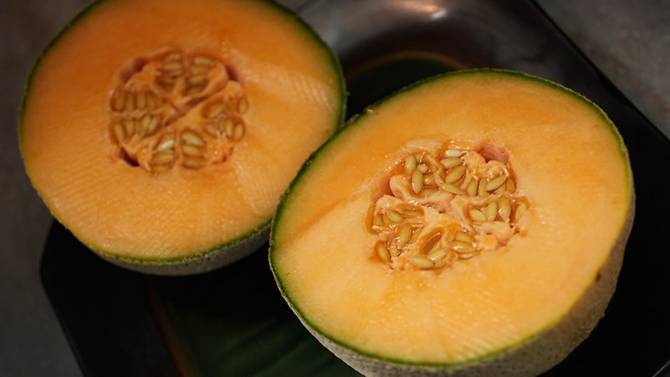 australian melon