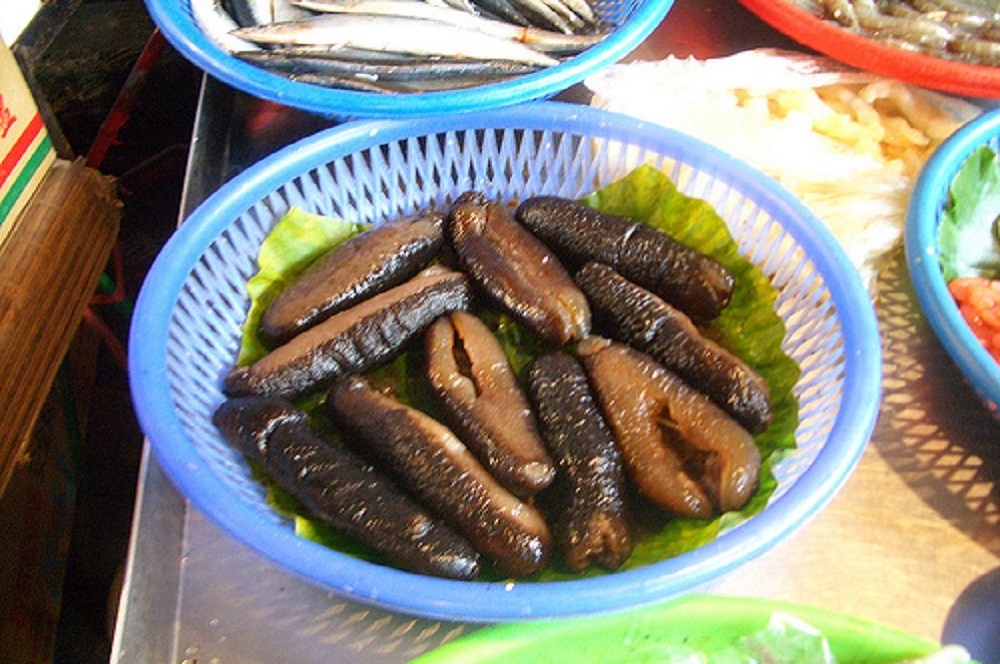 sea cucumber