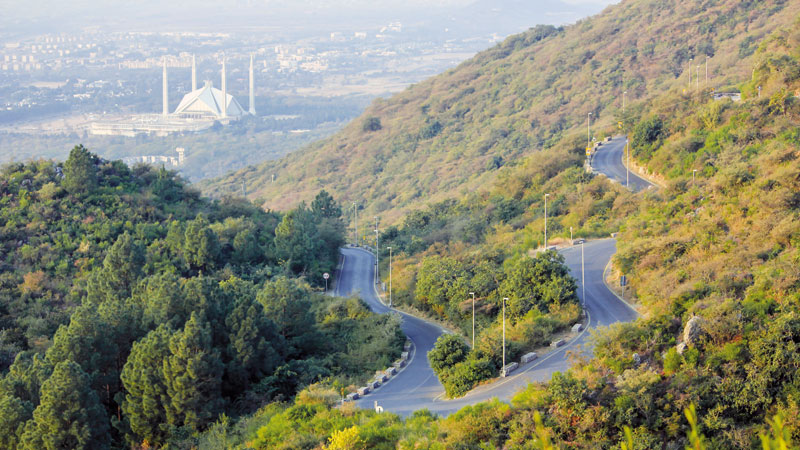 shutterstock_732810025