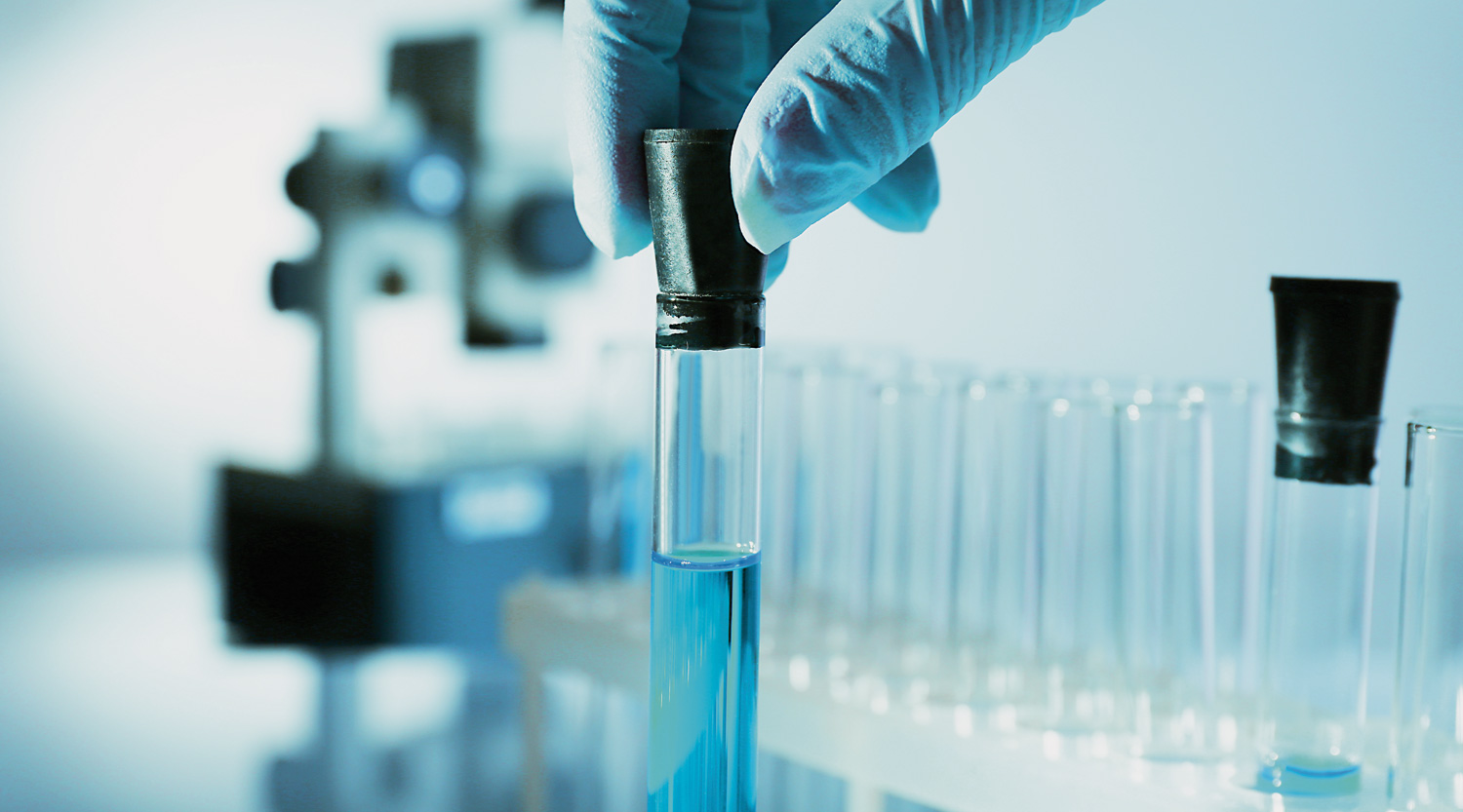 shutterstock_273464525