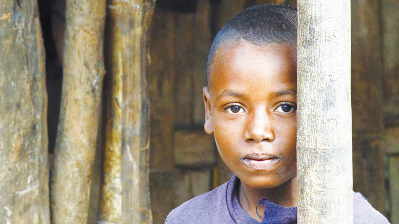 shutterstock_528485365