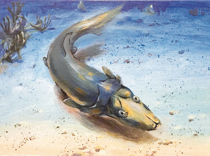 Platypus-Fish