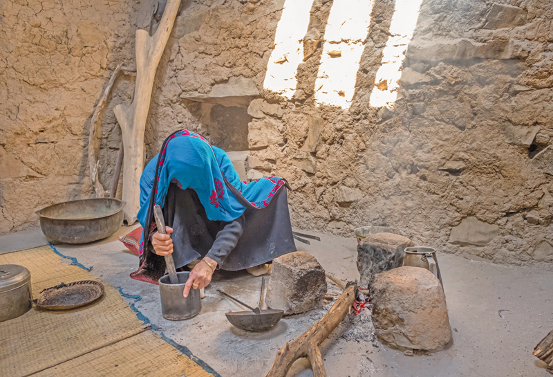 shutterstock_1056064940