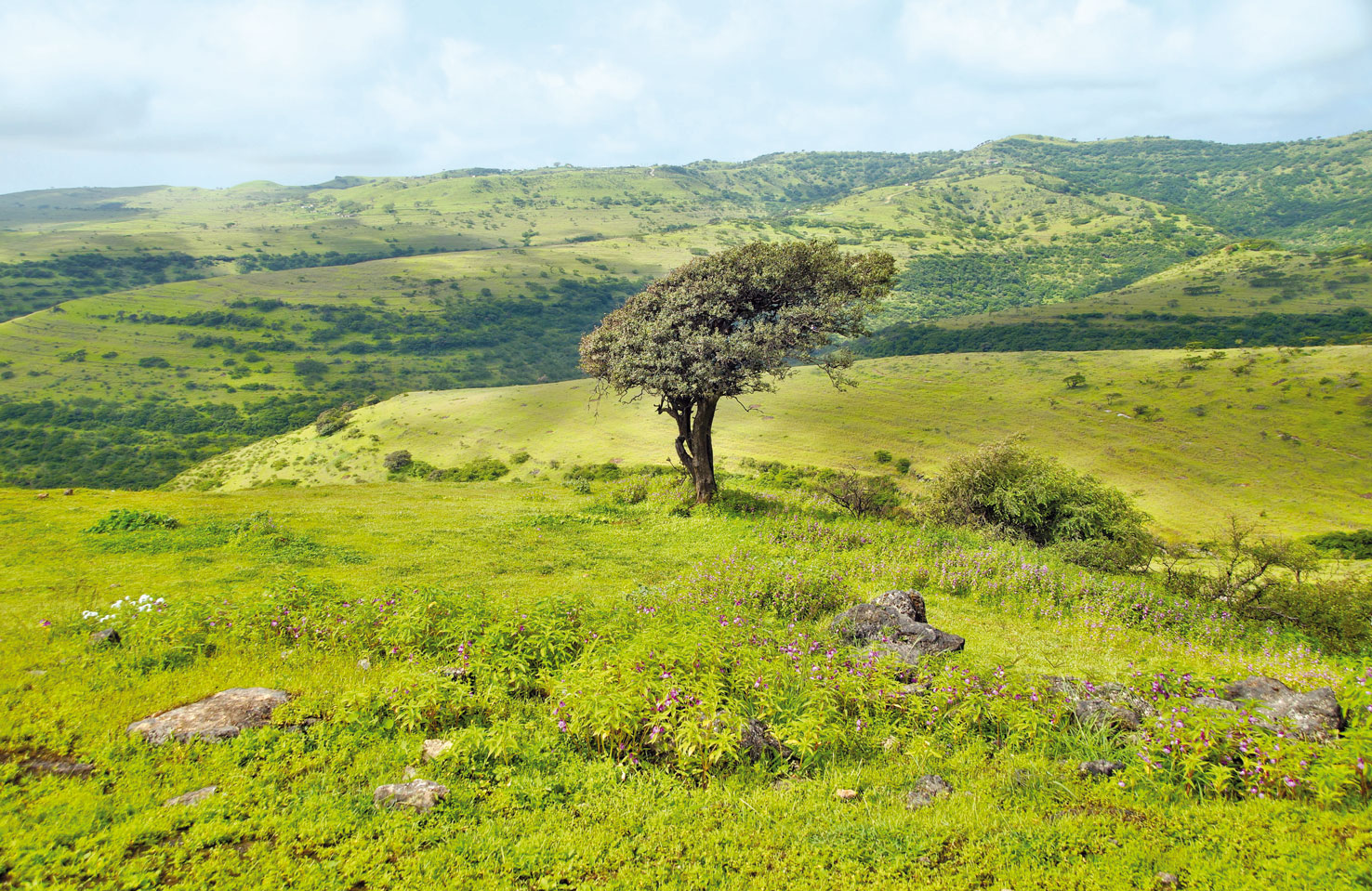 Salalah