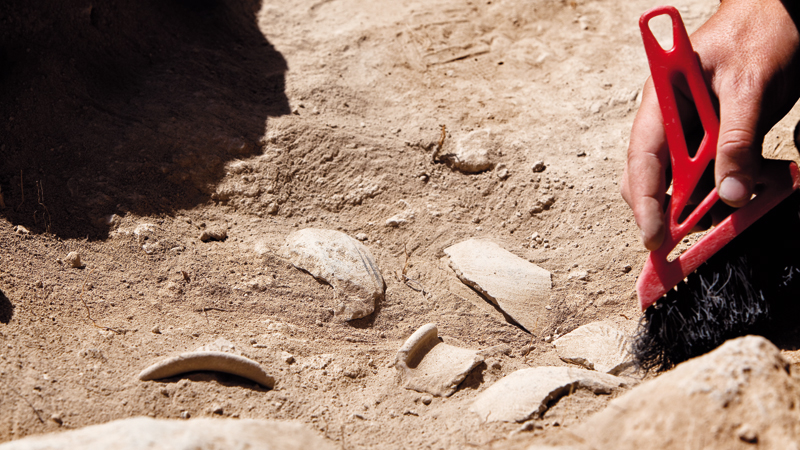 shutterstock_550477183