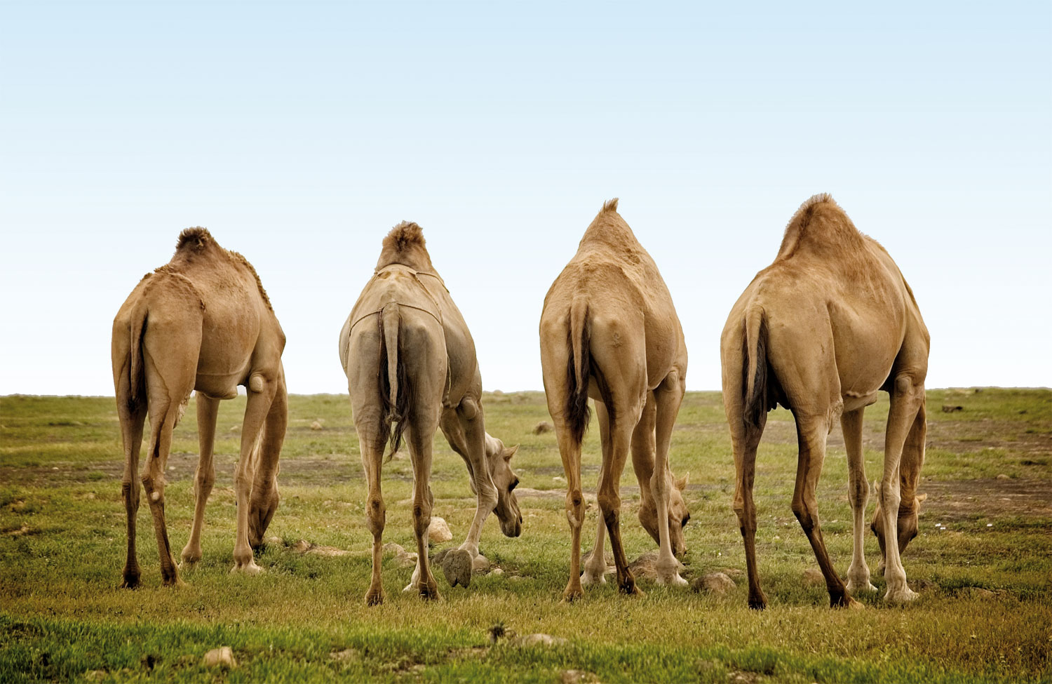 shutterstock_716354617