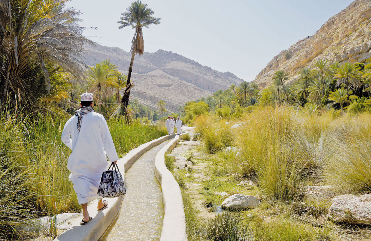 shutterstock_766234426