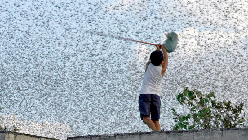 Hotter climate means hungrier insects will munch millions more tonnes ...