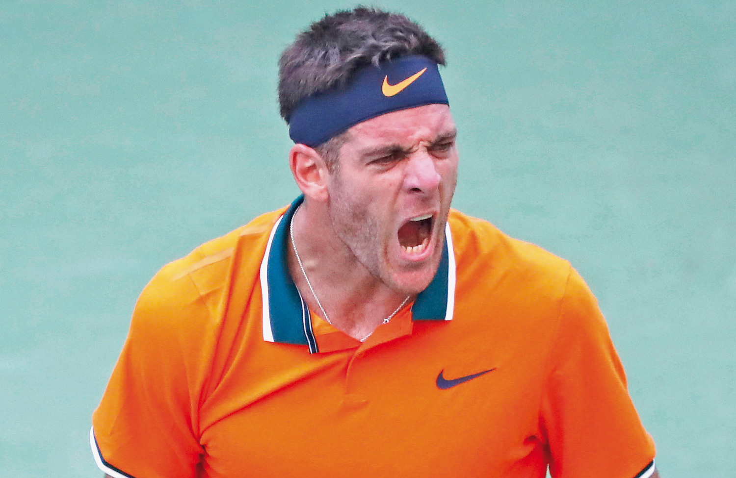 Del-Potro-pic2