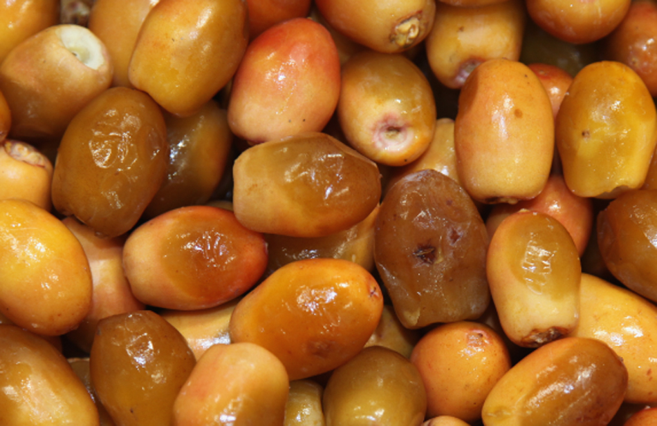 Eightday Omani dates festival starts on Oct 24 Oman Observer