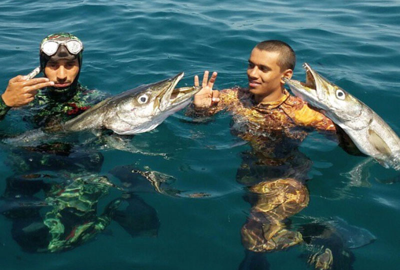 Spearfishing: primitive fishing with a twist - Oman Observer