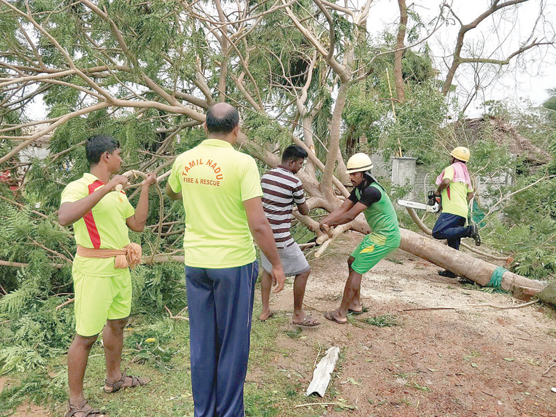 Cyclone Gaja kills 13, leaves trail of destruction in TN - Oman Observer