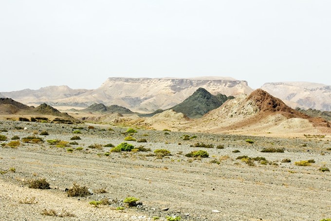 masirah-island-3694-18