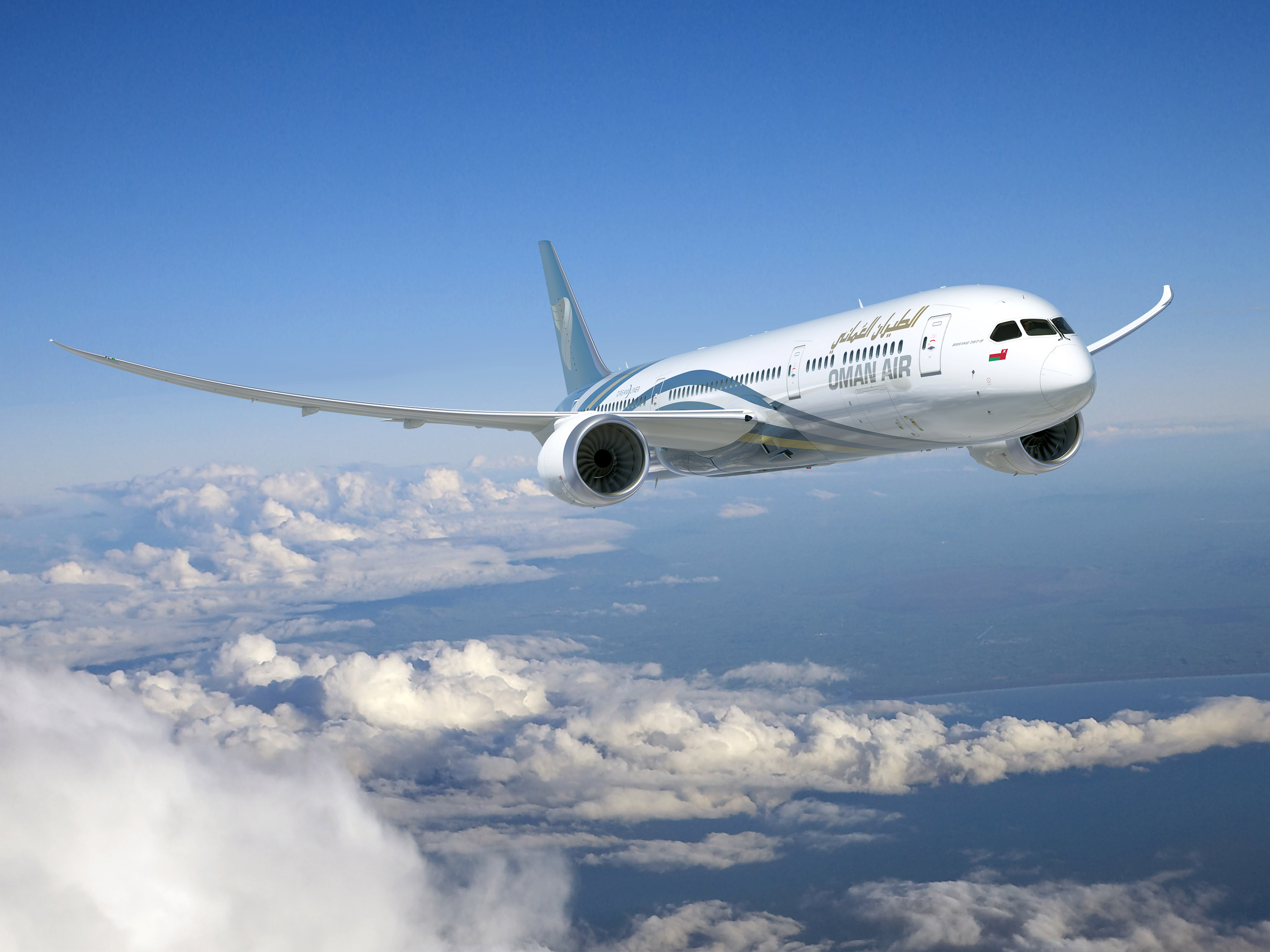 Oman Air OMR 787-9 Artwork