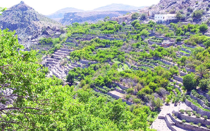jabal akhdar im