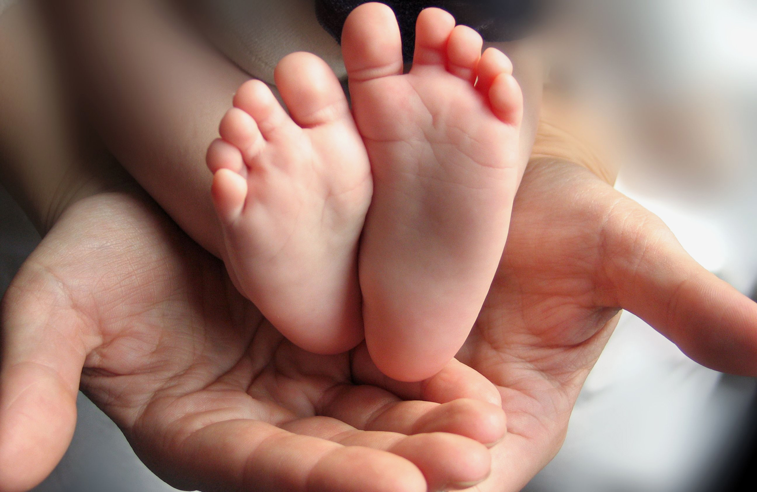 little-feets,-hands-211480