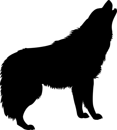 wolf-1247882
