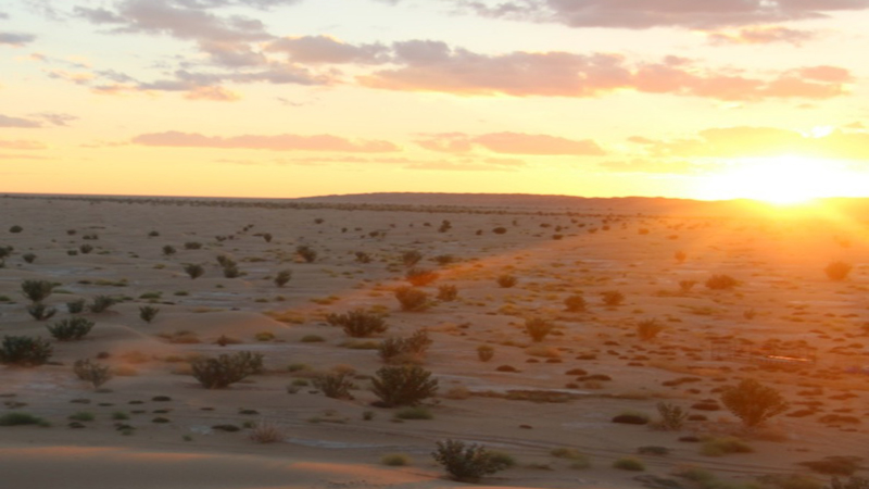 desert3