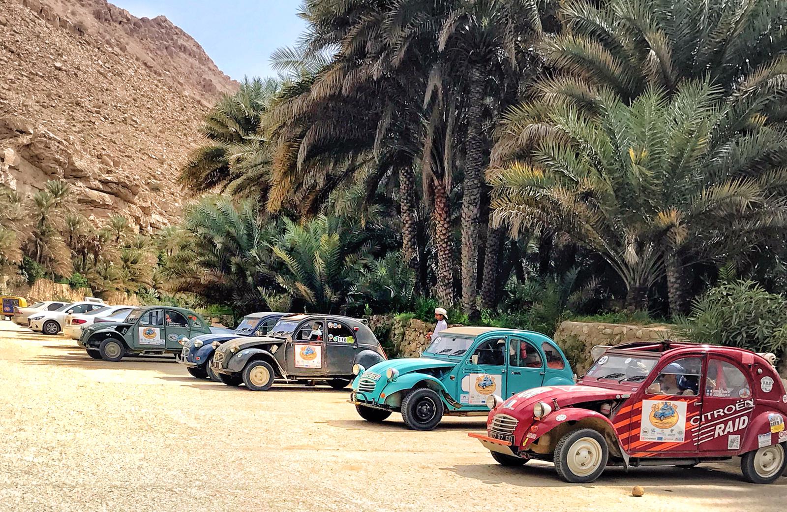 88595230-E19C-4B6F-A673-2E8D371F6DA0