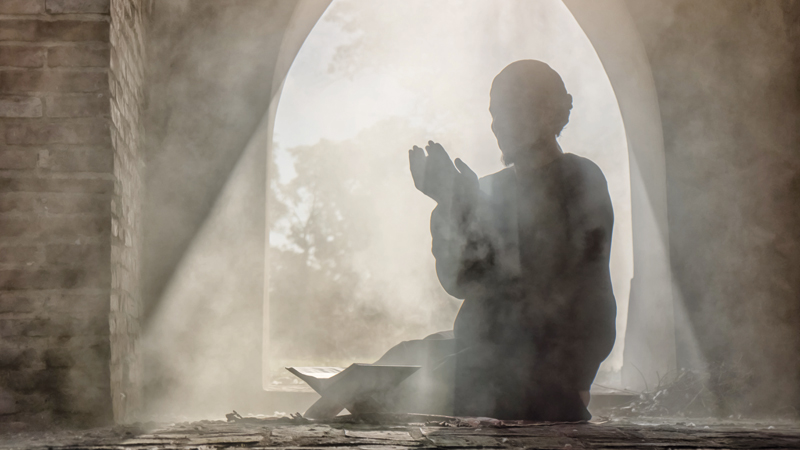 shutterstock_1224215023