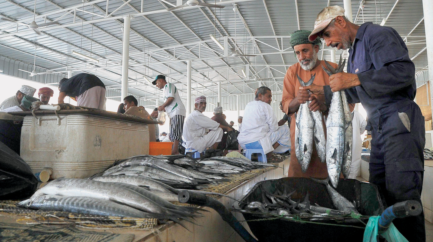 Fish landing rises by 4.7 per cent in February Oman Observer