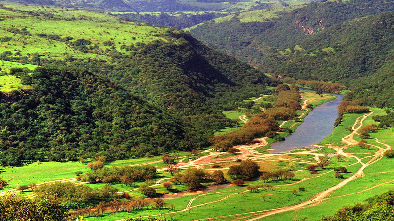 Khareef-Salalah