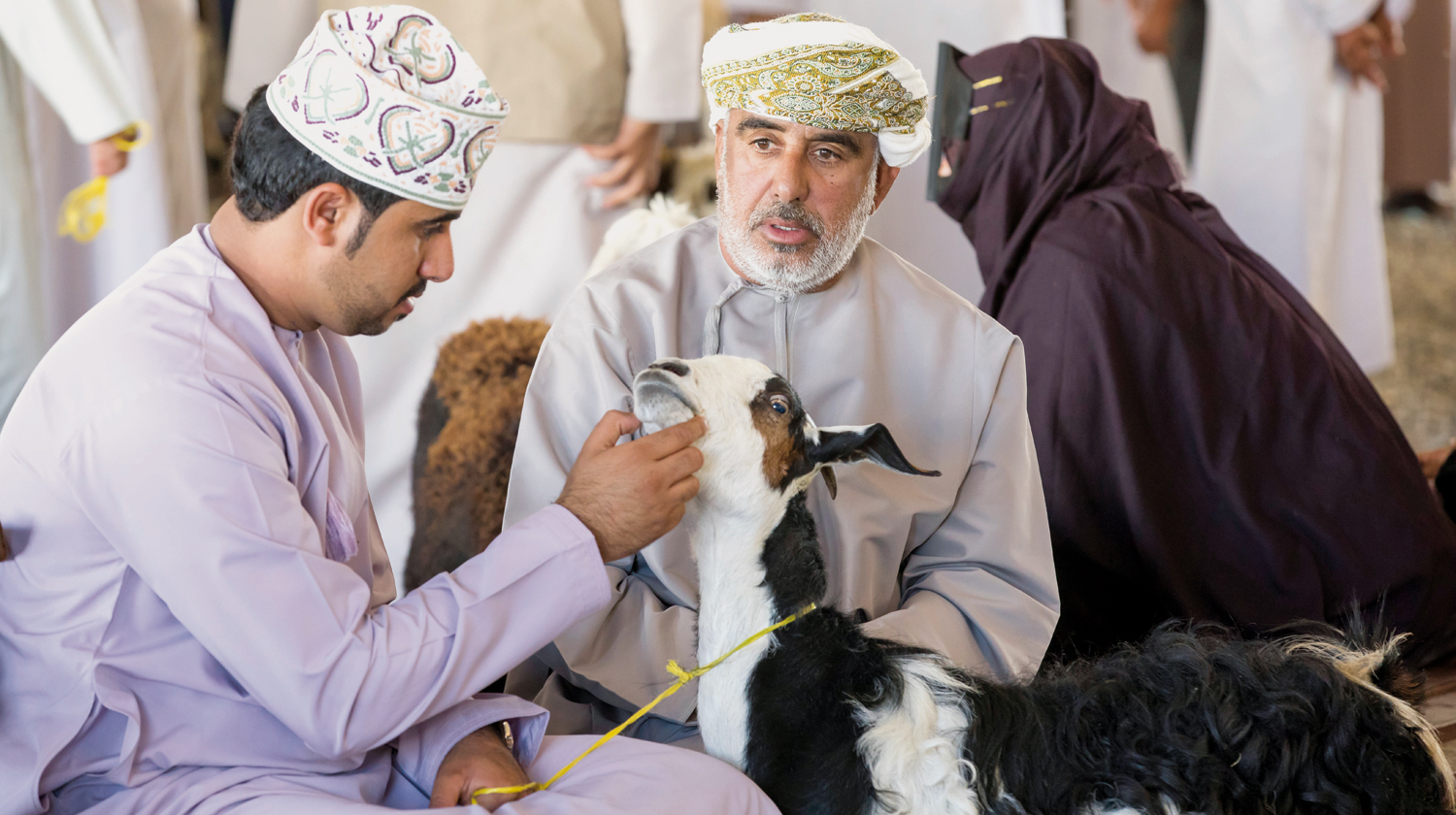 How people in Rustaq celebrate Eid al Fitr Oman Observer