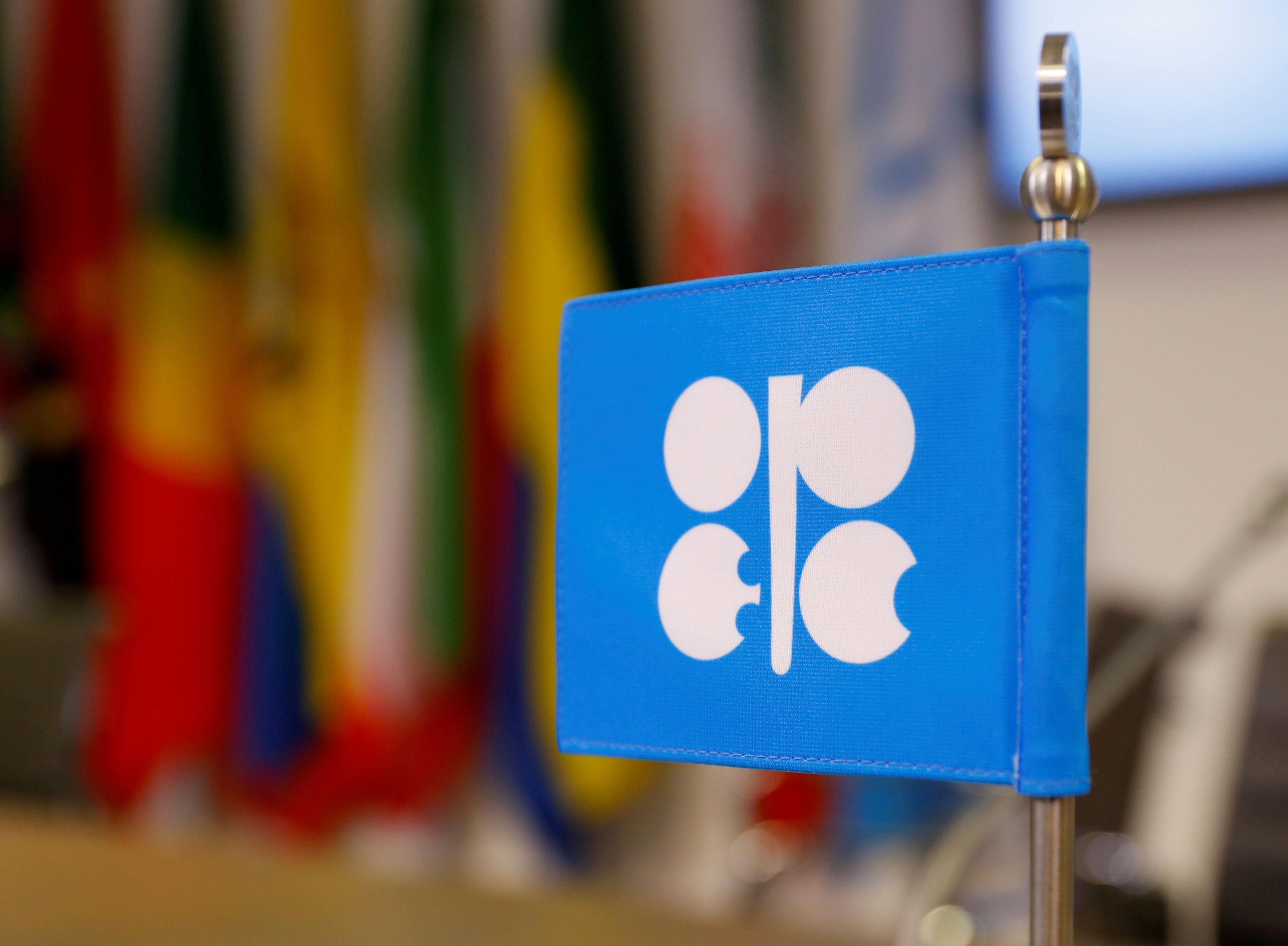 FILE PHOTO: The logo of the Organization of the Petroleum Exporting Countries (OPEC) is seen inside their headquarters in Vienna