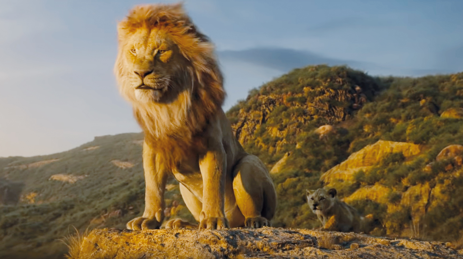 There is a lake full of angry crocodiles and you need to get to the other side. how do you do it? image