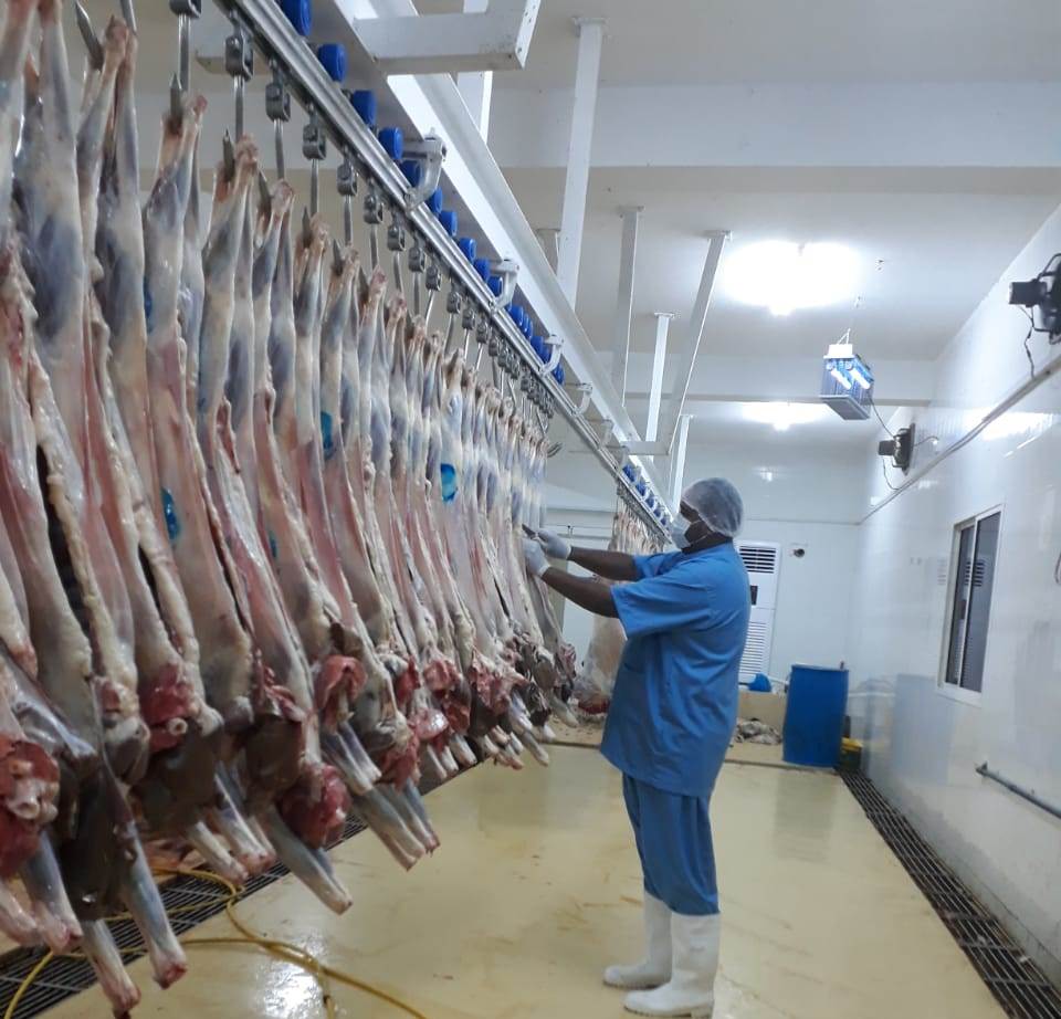 Slaughtering in Slaughterhouses
