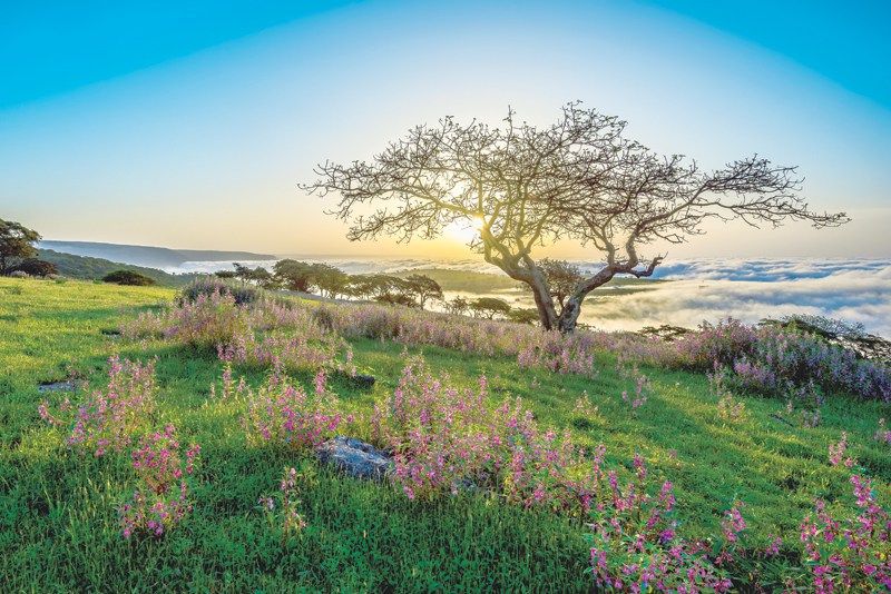 0f5ffb5ffbd833beaa78e0a51f36ad4e