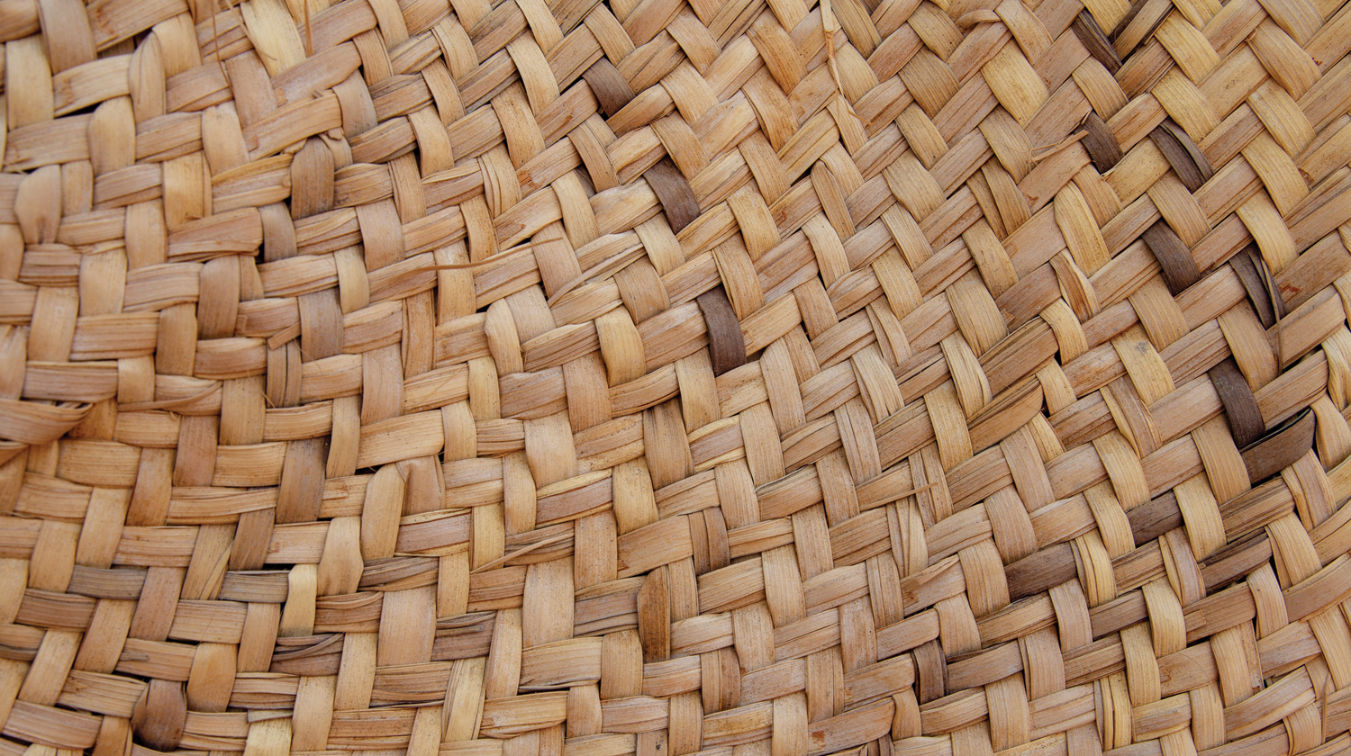 shutterstock_1132050086