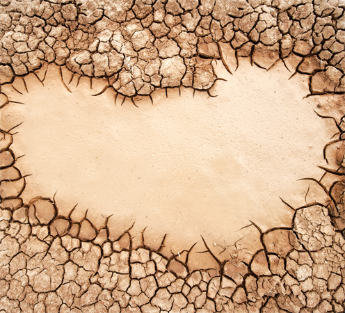 shutterstock_143668507