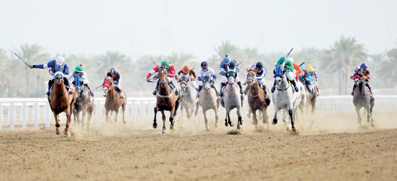 National Day horse race on November 16 - Oman Observer