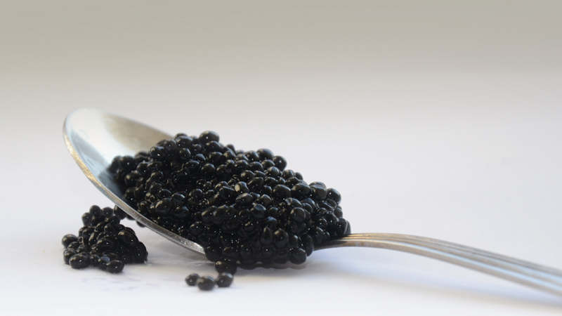 black-caviar-2315831