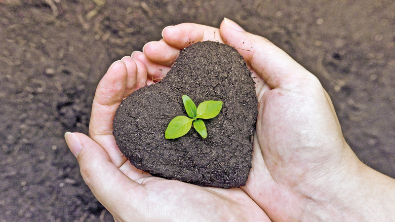 shutterstock_184255298