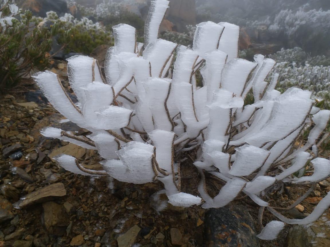 ad0231b9-a19a-484e-a4c9-cebcf515685f