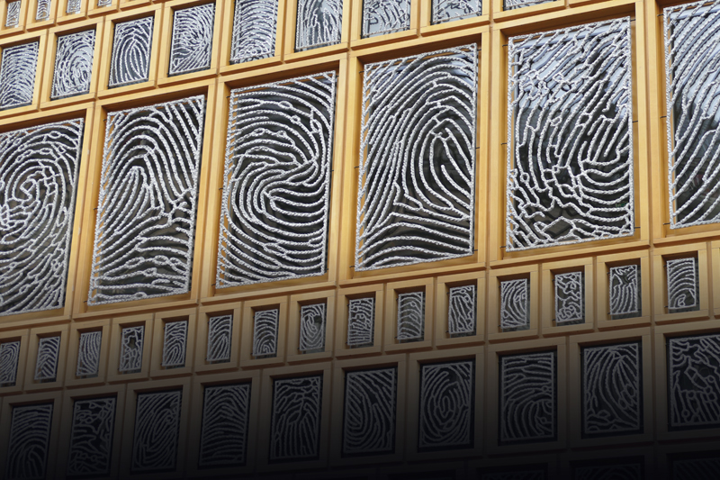fingerprints