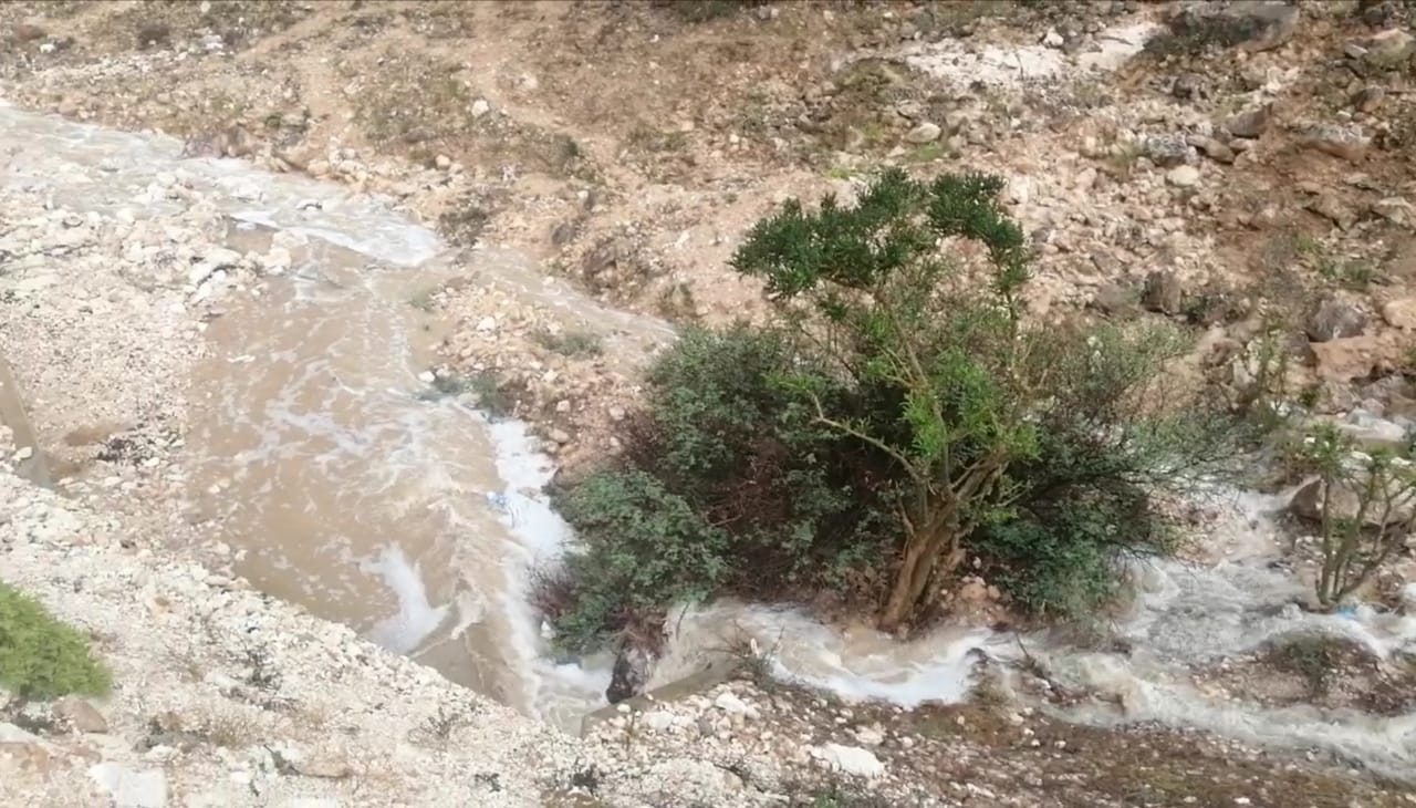 PHOTO-2020-03-22-19-01-36