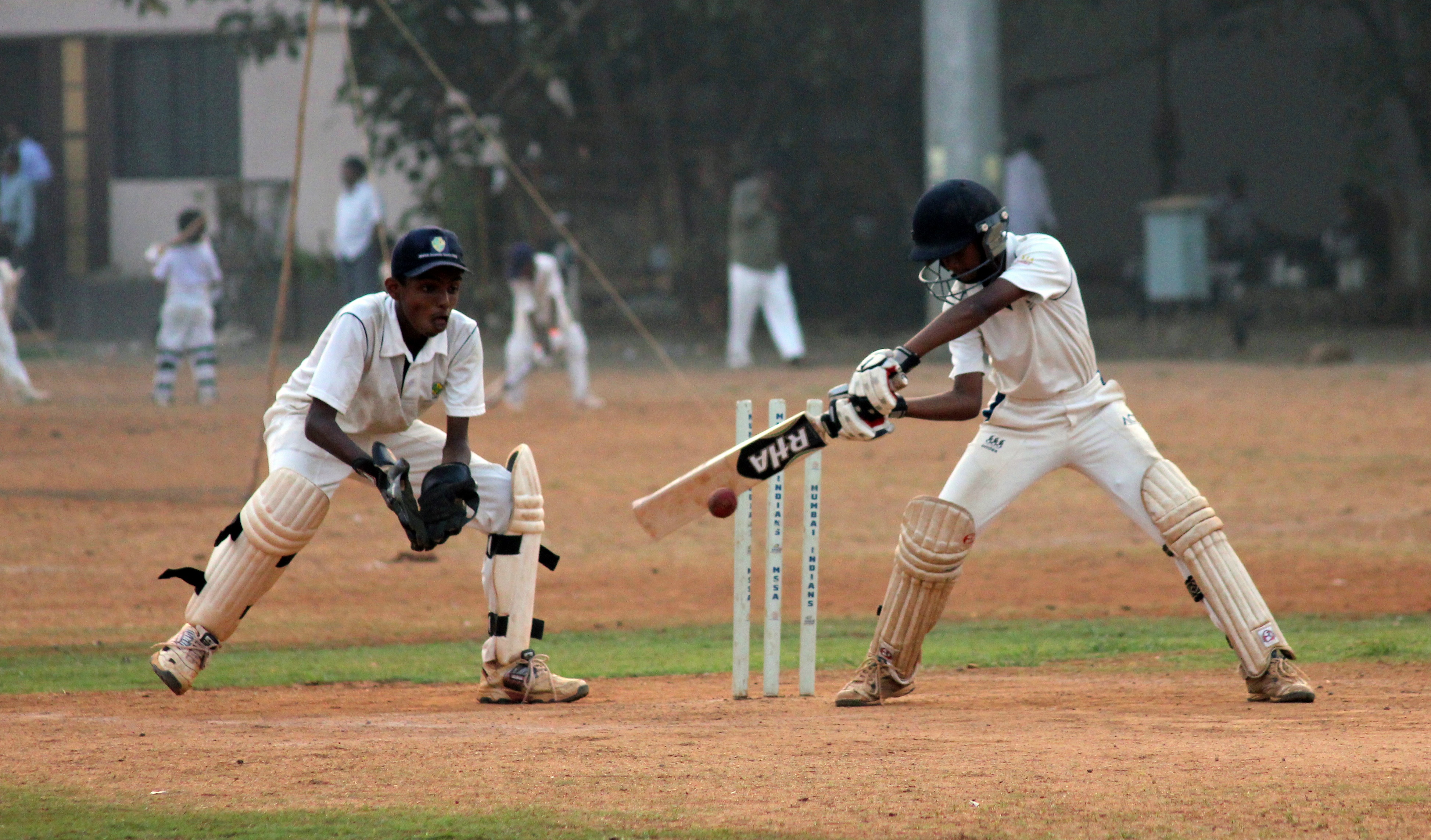 wicketkeeper, cricket, game