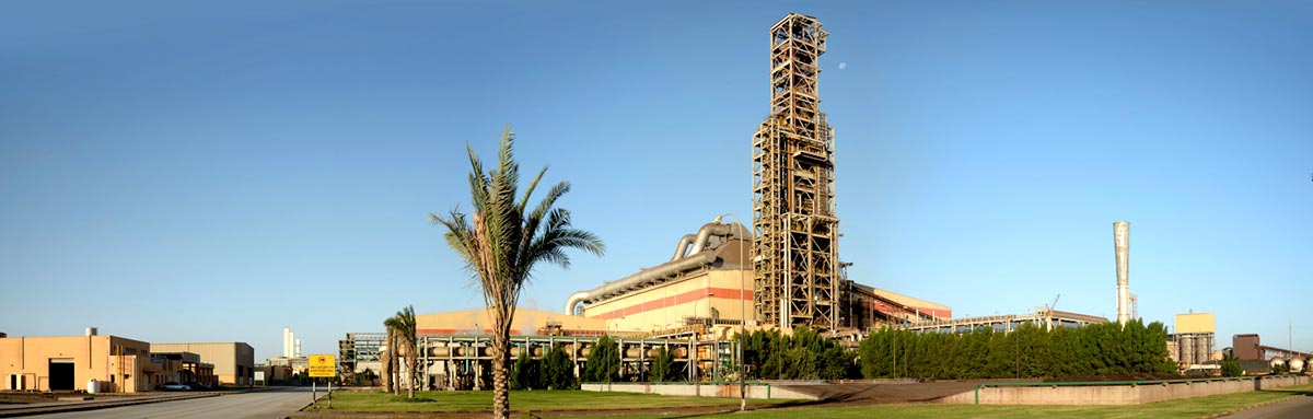 Jindal Shadeed overview