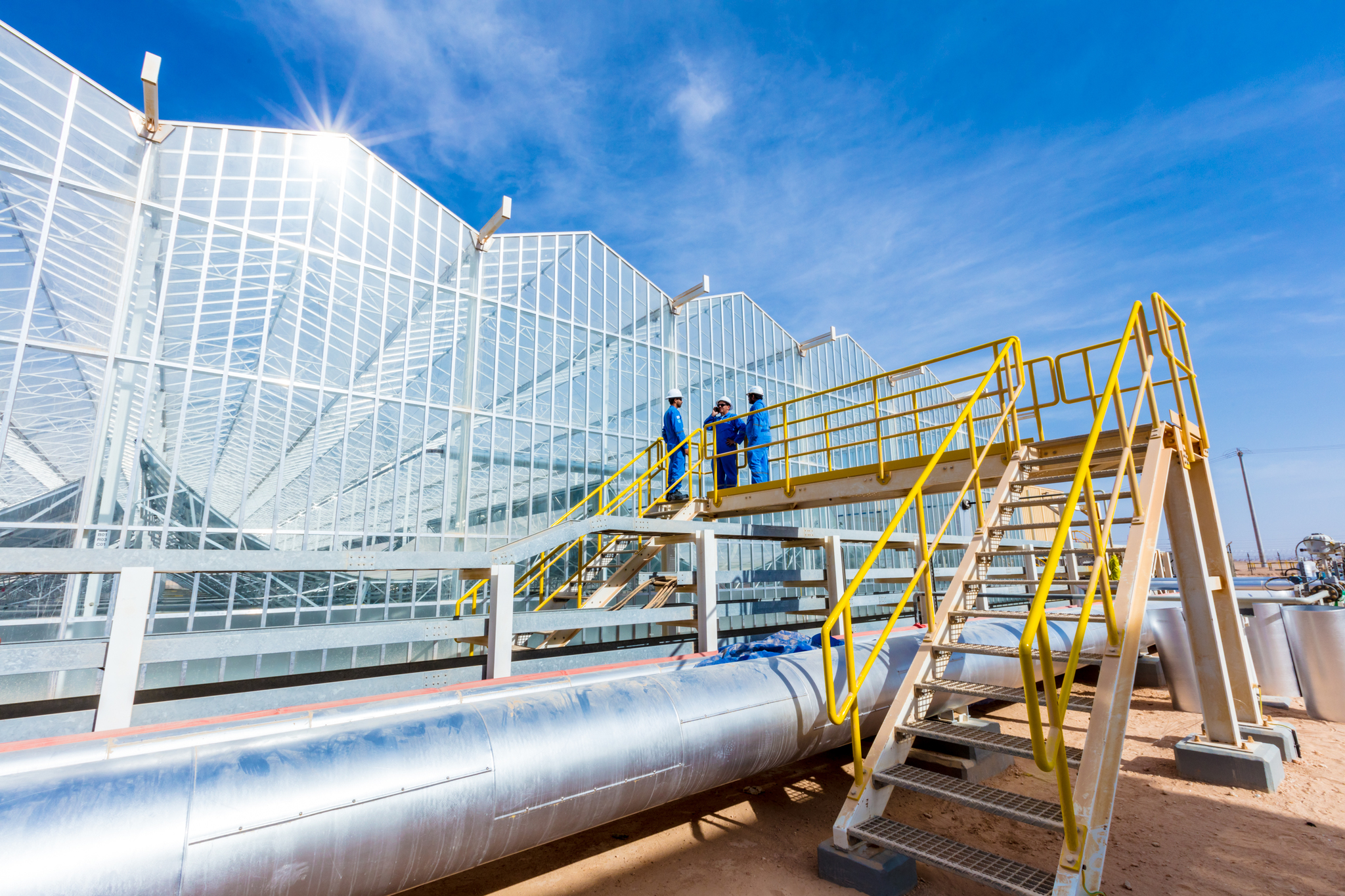 Miraah_FAIS0064_2018.jpg-