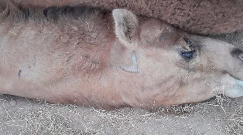 WhatsApp Image 2020-05-04 at 7.17.08 PM