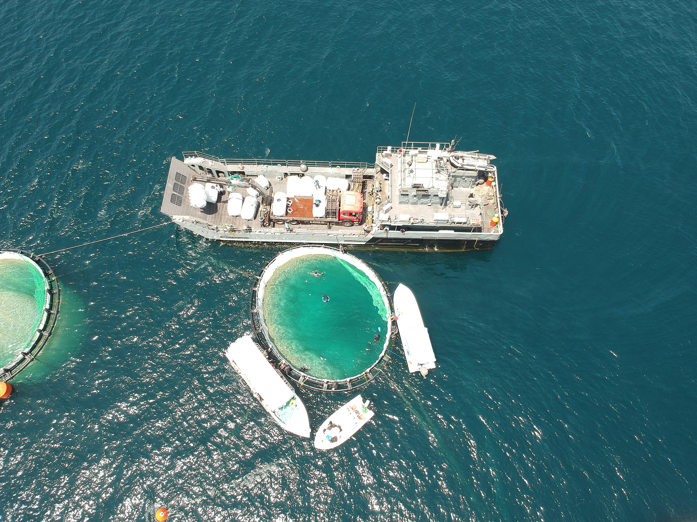 FDO Finfish culture - Musandam project